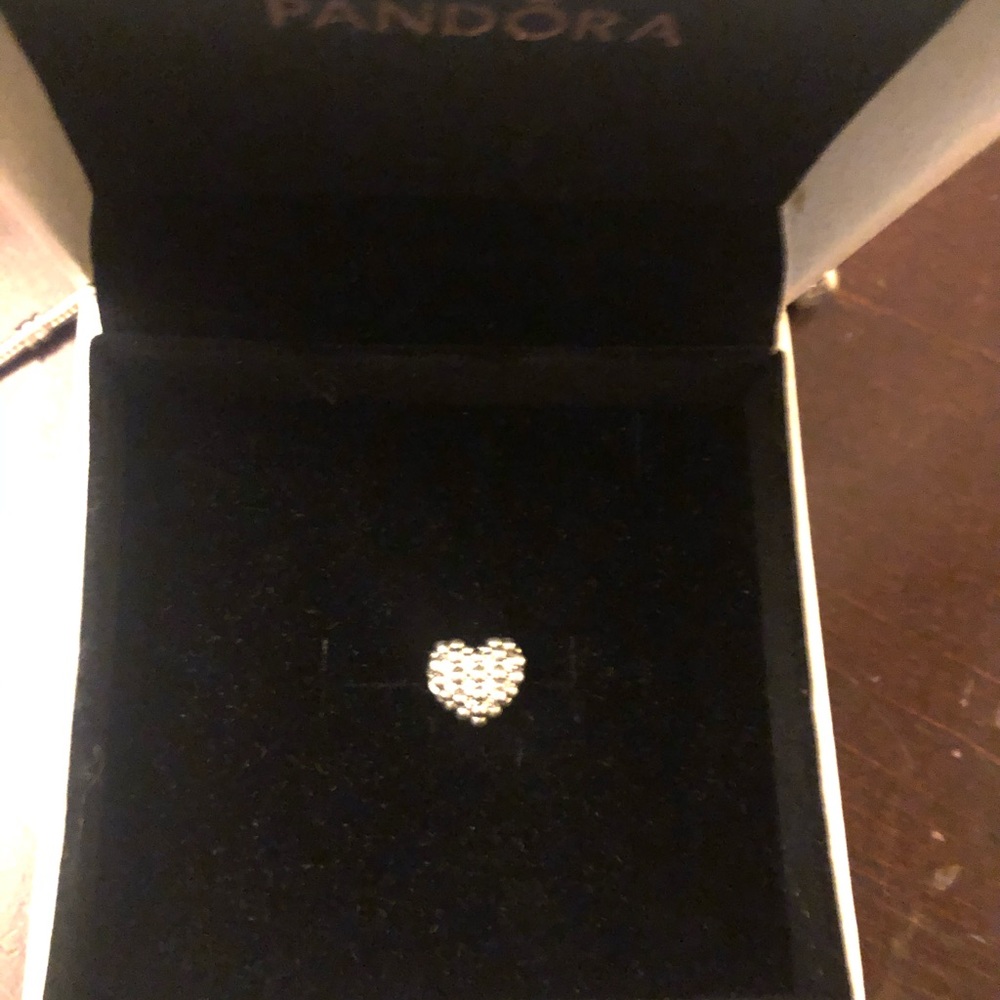 Pandora bracelet charm